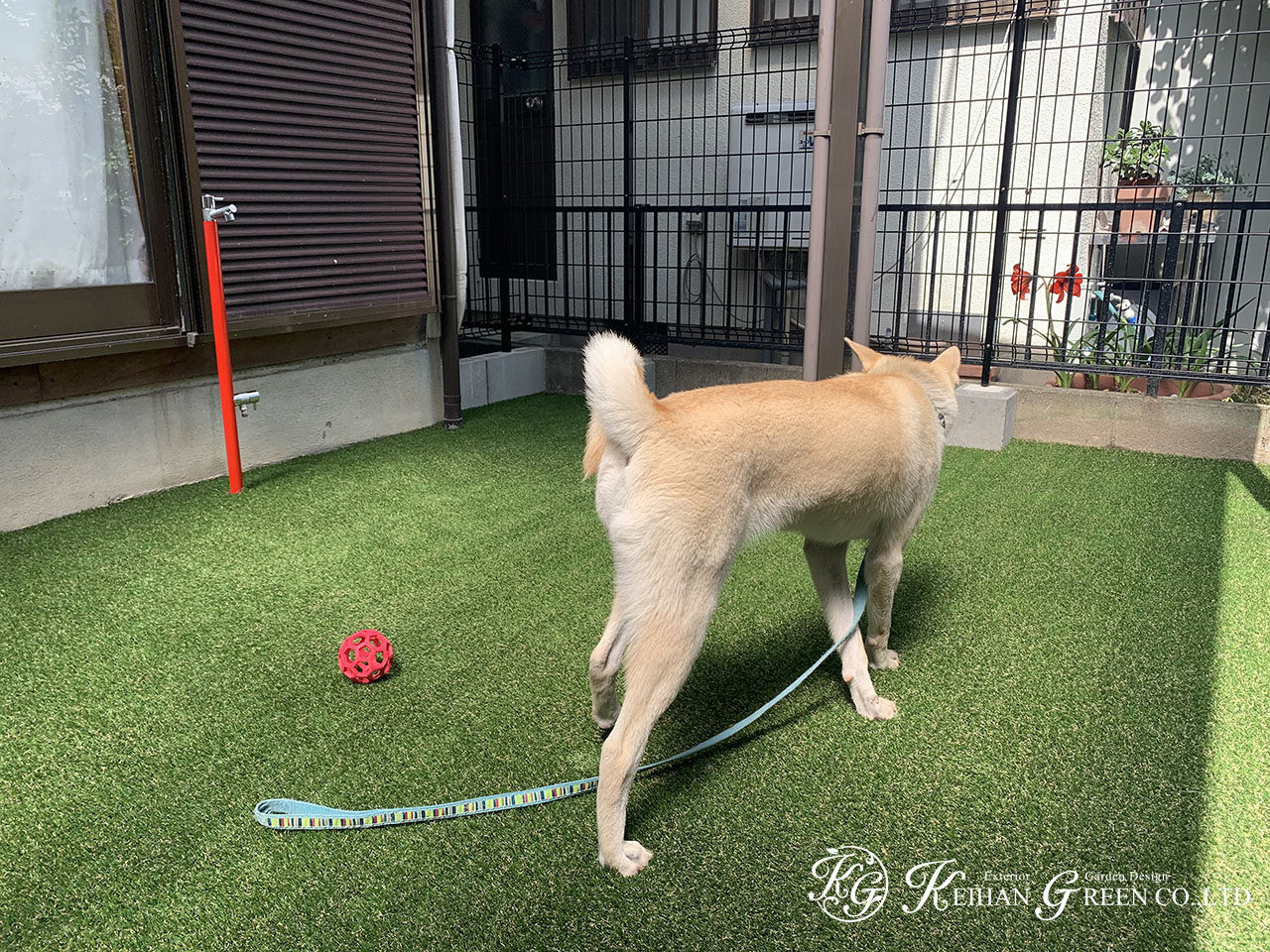 ワンちゃんが快適に過ごせるお庭へリフォーム 大津市 | 京阪グリーン