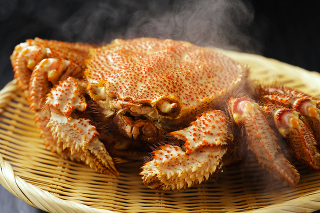 快適生活 ラジオショッピング-快適生活