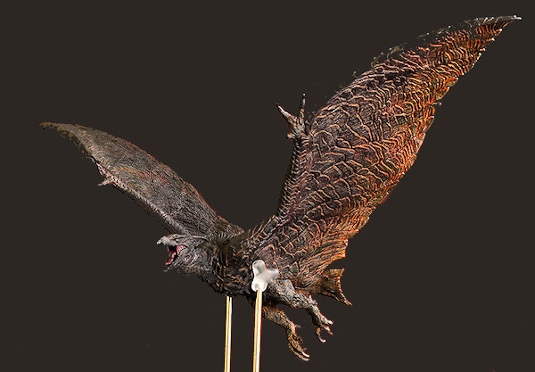 東宝大怪獣 ラドン（2019）少年リック限定版 東宝大怪獣シリーズ