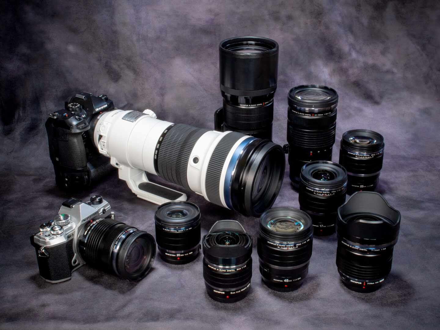 OM SYSTEM M.ZUIKO DIGITAL PROレンズセレクトガイド 現行ラインナップ