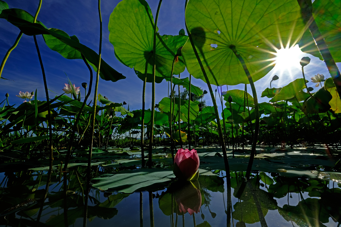 富士フイルム XF10-24mmF4 R OIS WR レビュー｜旅写真家が選ぶ広角