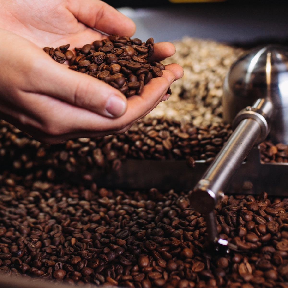 Kinetic Koffee - Certified Organic Coffee Roasters Since 2005