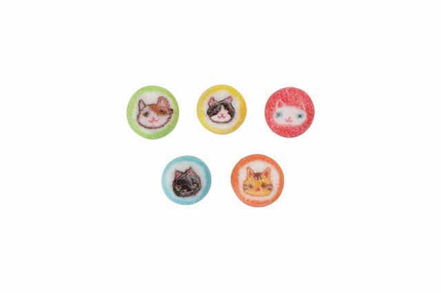 株式会社 金太郎飴本店 / にゃんこ飴スタンドパック
