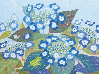 村越 由子（Yuko Murakoshi）｜Artist 作家紹介｜如月美術 KISARAGI