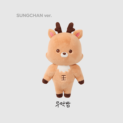 RIIZE ソンヨンドリ ウンソク 40cm doll ぬいぐるみ RIIZE ウンソク