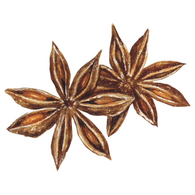 八角｜薬膳食材図鑑 ｜カンポフルライフ by クラシエの漢方