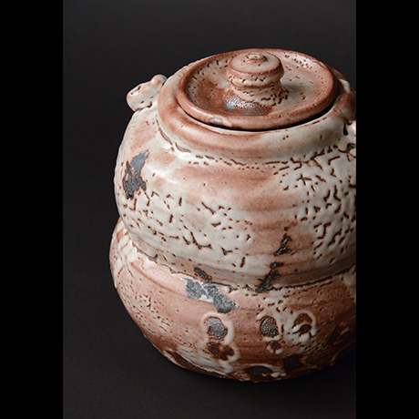 No.12 紫志野水指 / Water container, Murasaki-shino | しぶや黒田陶苑