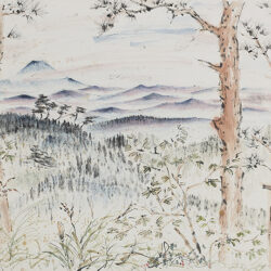 北大路魯山人 赤志野草文四方平鉢 | しぶや黒田陶苑