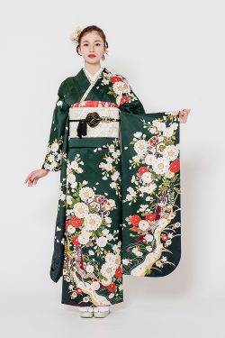 No.1175 【新品/京友禅】深緑に満開の桜が煌めき、クラシカルで