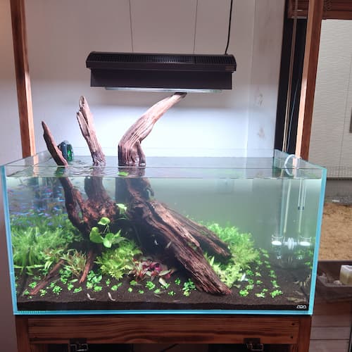 おりゆい様】ADA 90cm水槽 おりゆい様】ADA 90cm水槽 NA SYSTEM 「水景の