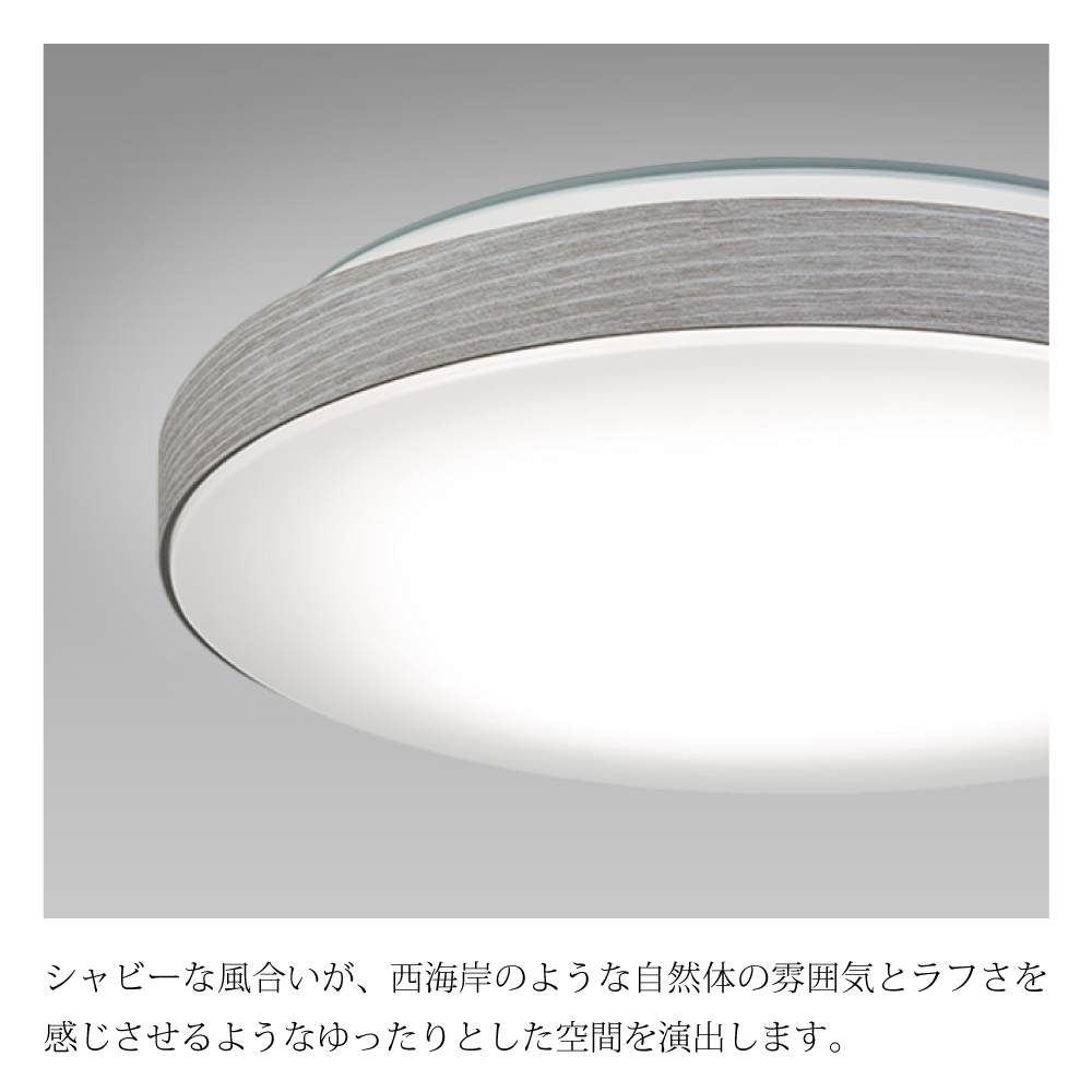 HLDC08334SG | 製品詳細