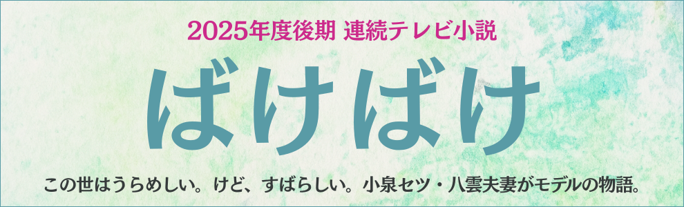 JA1AEAの自傳的アマチュア無線史 JA1AEA 自伝的アマチュア無線史 本