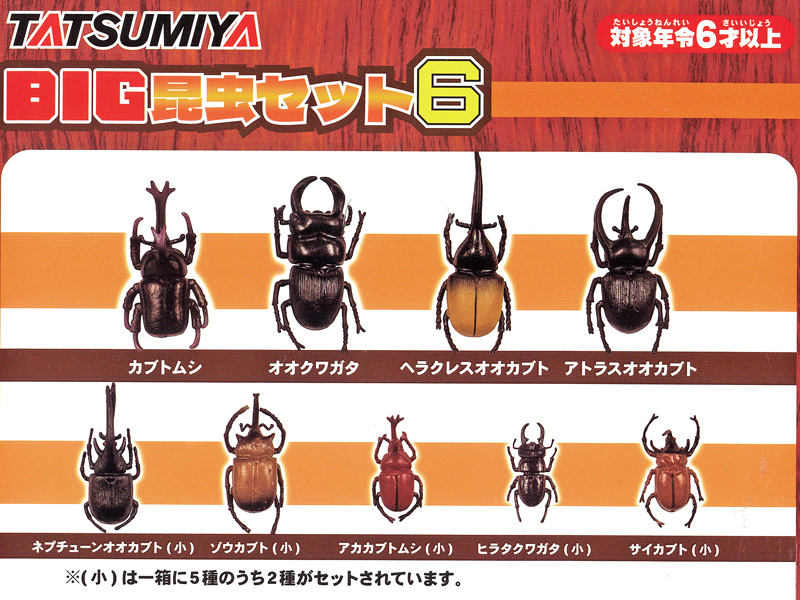 男の子おもちゃ BIG昆虫セット6|【堀商店】景品・販促品・お祭り用品の