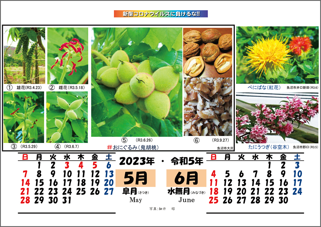 ゴールドカレンダー 2023年 卯年 花ごよみ 【公式通販】