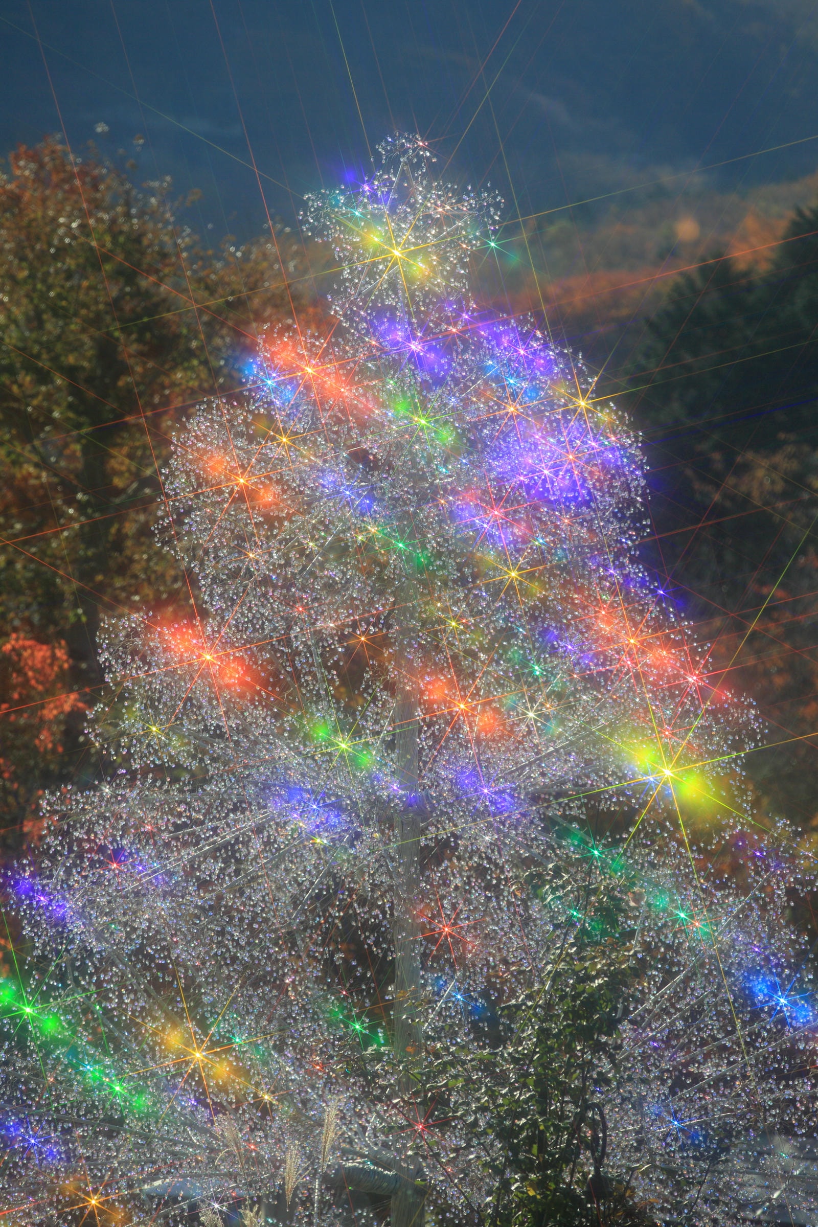 クリスタル・ガラスのクリスマスツリー | 箱根ガラスの森美術館 ブログ