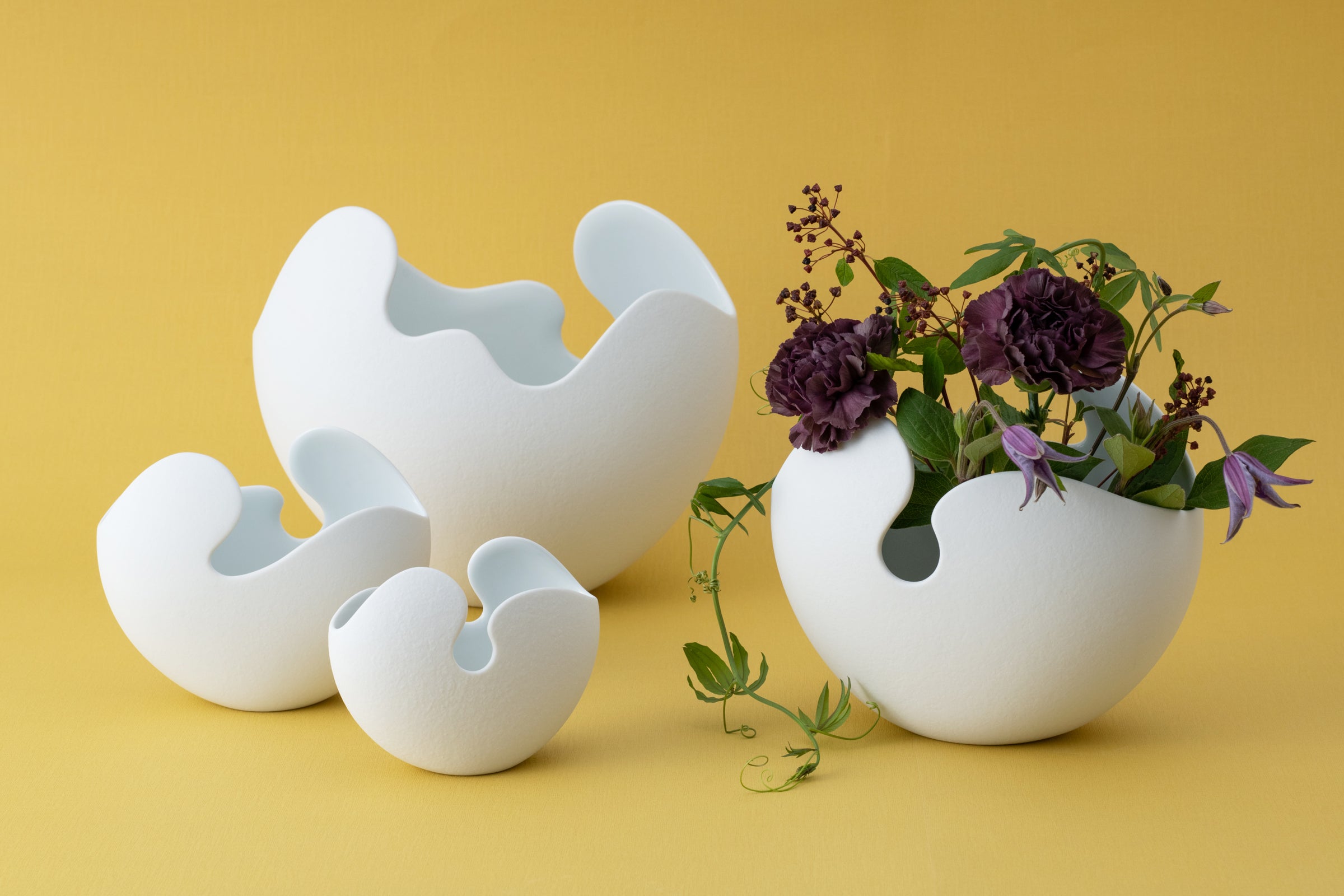 ライフシェルズ - LIFE SHELLS - | 白山陶器直営オンラインストア