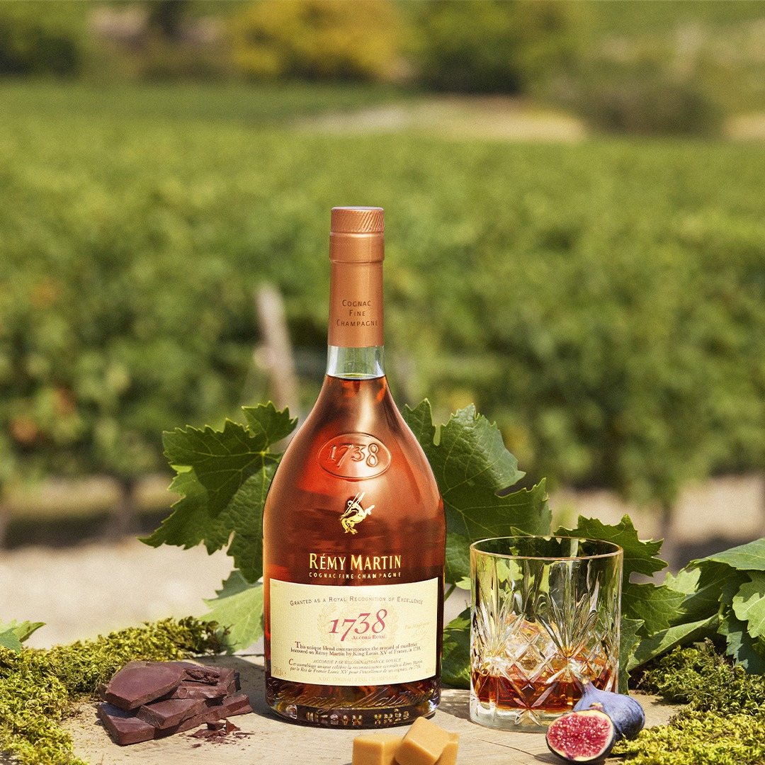 未開栓 REMY MARTIN レミーマルタンXO SPECIAL 750ml 未開栓 レミー