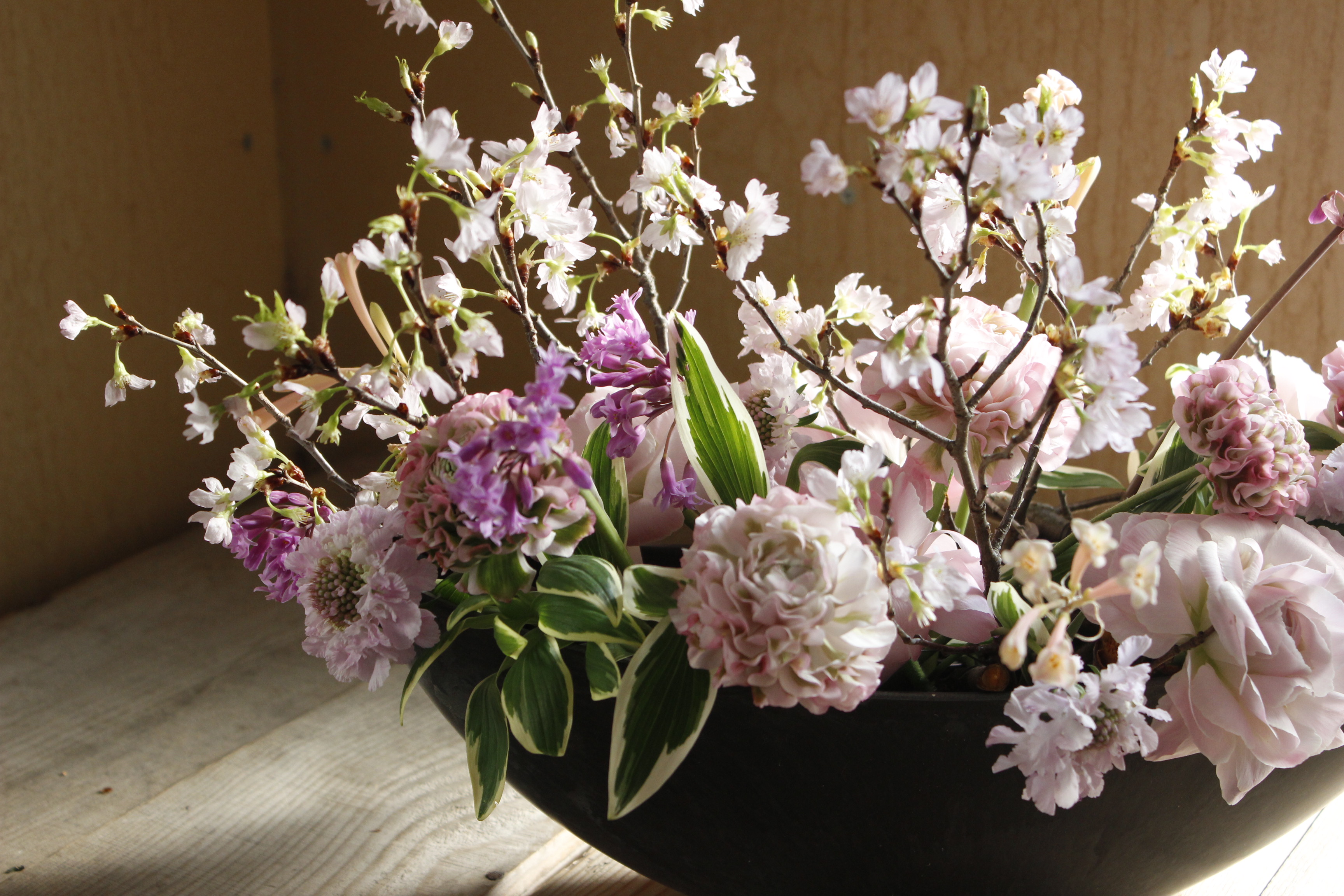 桜の舟 ～うきうき花レシピ - はなどんやマガジン