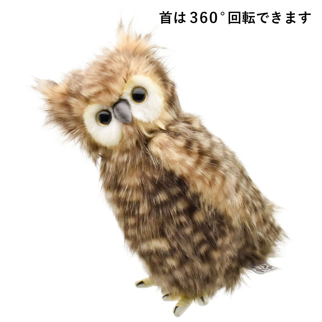 フクロウ 28 | HANSA