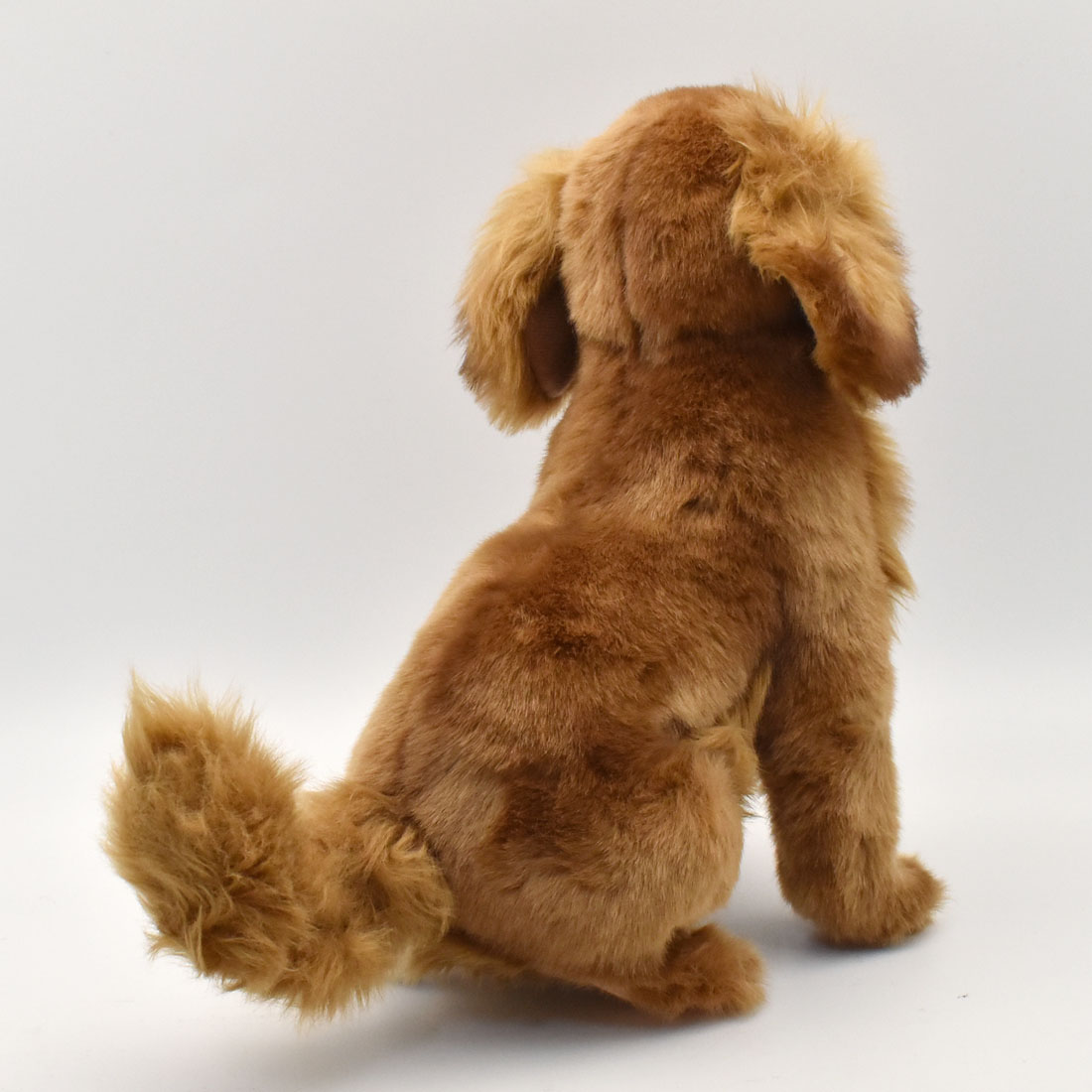 ゴールデンレトリバー 32 | HANSA