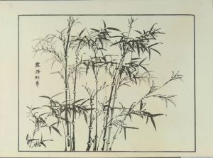 彩色木版画画帖本竹洞花鳥畫譜初版中林竹洞名古屋の江戸後期の画家安永