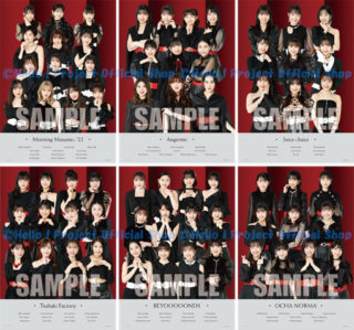 ハロプロ・モーニング娘ほか 入手困難非売品ポスター20枚セット