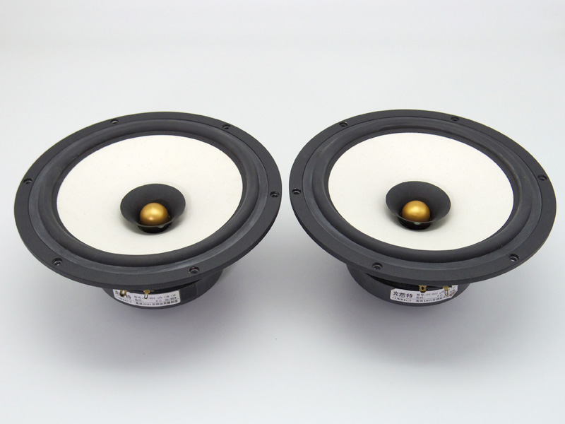 Sachsenwerk 20cm フルレンジ スピーカー m0s8794 Sachsenwerk 20cm