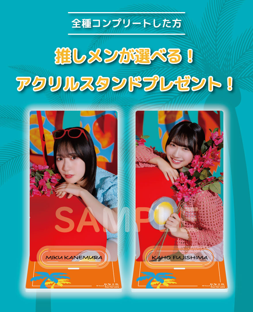 ひなこれ」第13回「おひさまリゾート | FCニュース | 日向坂46