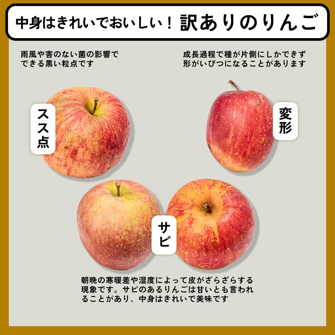 訳あり 葉とらずサンふじ | 産地直送通販 | 青森りんご | RED APPLE