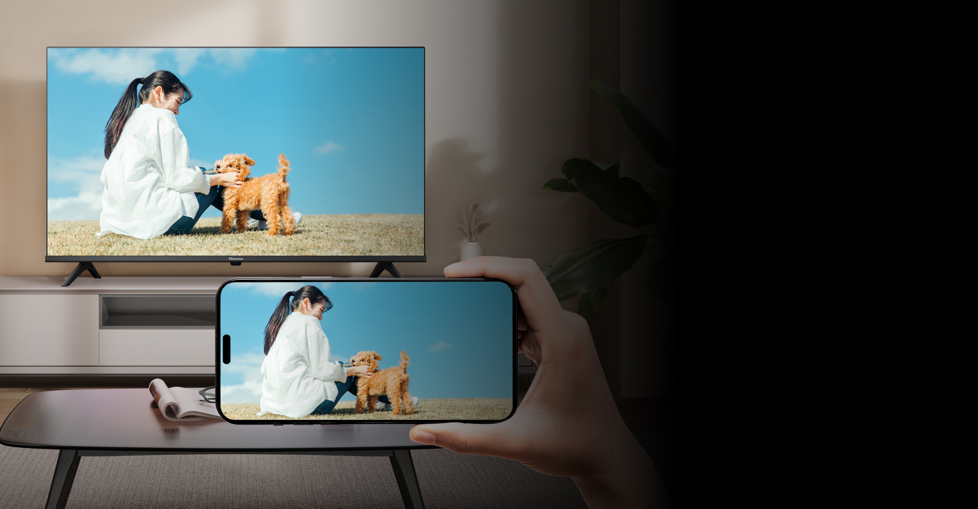 U7N | ハイセンスジャパン株式会社