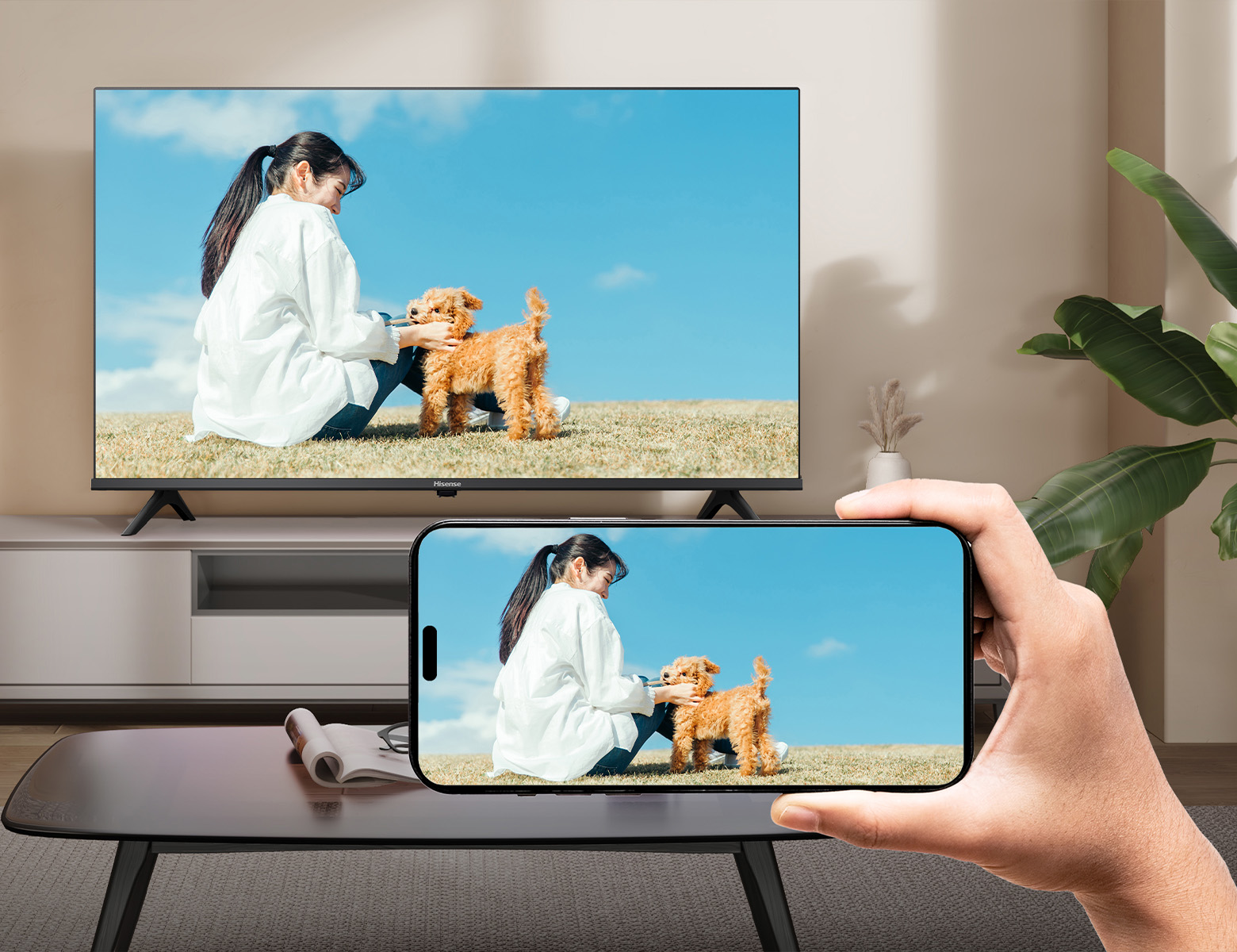 Hisense A46N 32V型 SMART TV A46N | ハイセンスジャパン株式会社