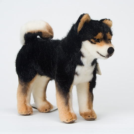 めだかさん専用出品 柴犬4袋 ペット】柴犬用 子犬‐成犬用 2．2kg