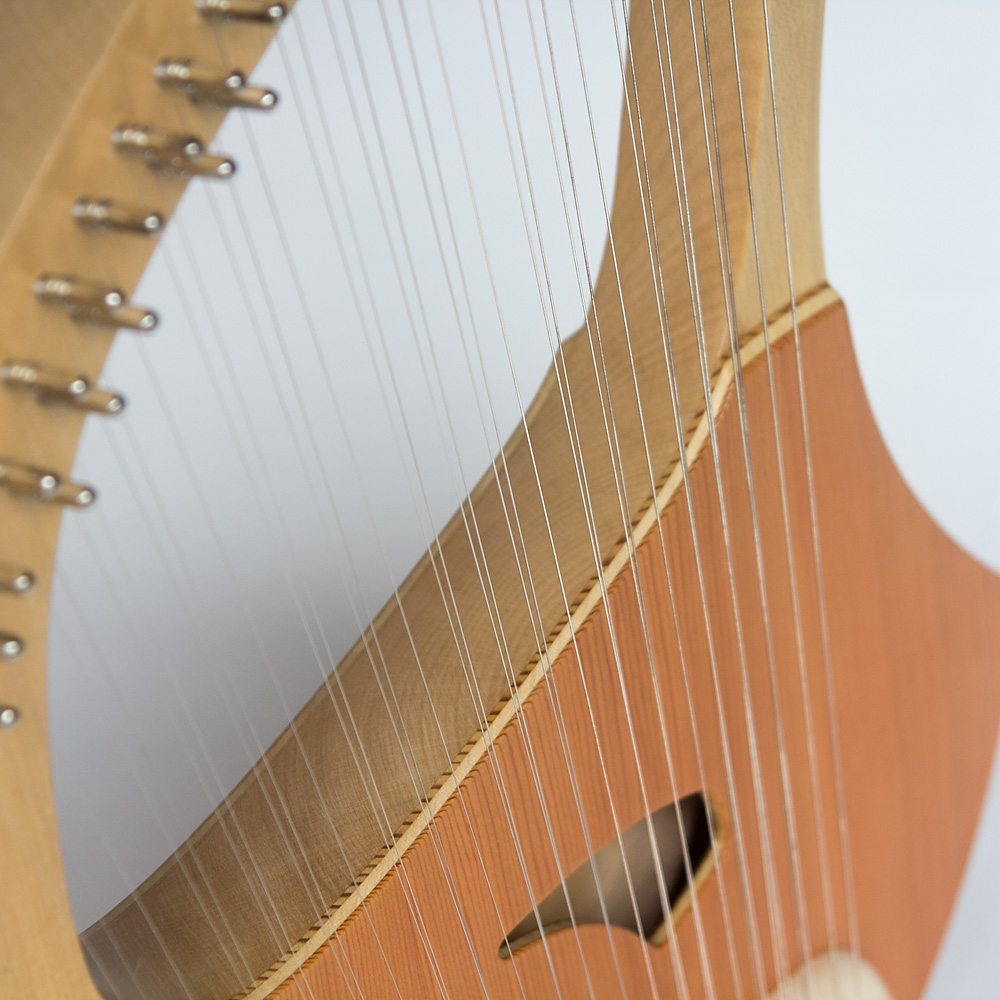 ライアー ライヤー 35弦 コロイ choroi 弦楽器 ハープ 竪琴 楽器