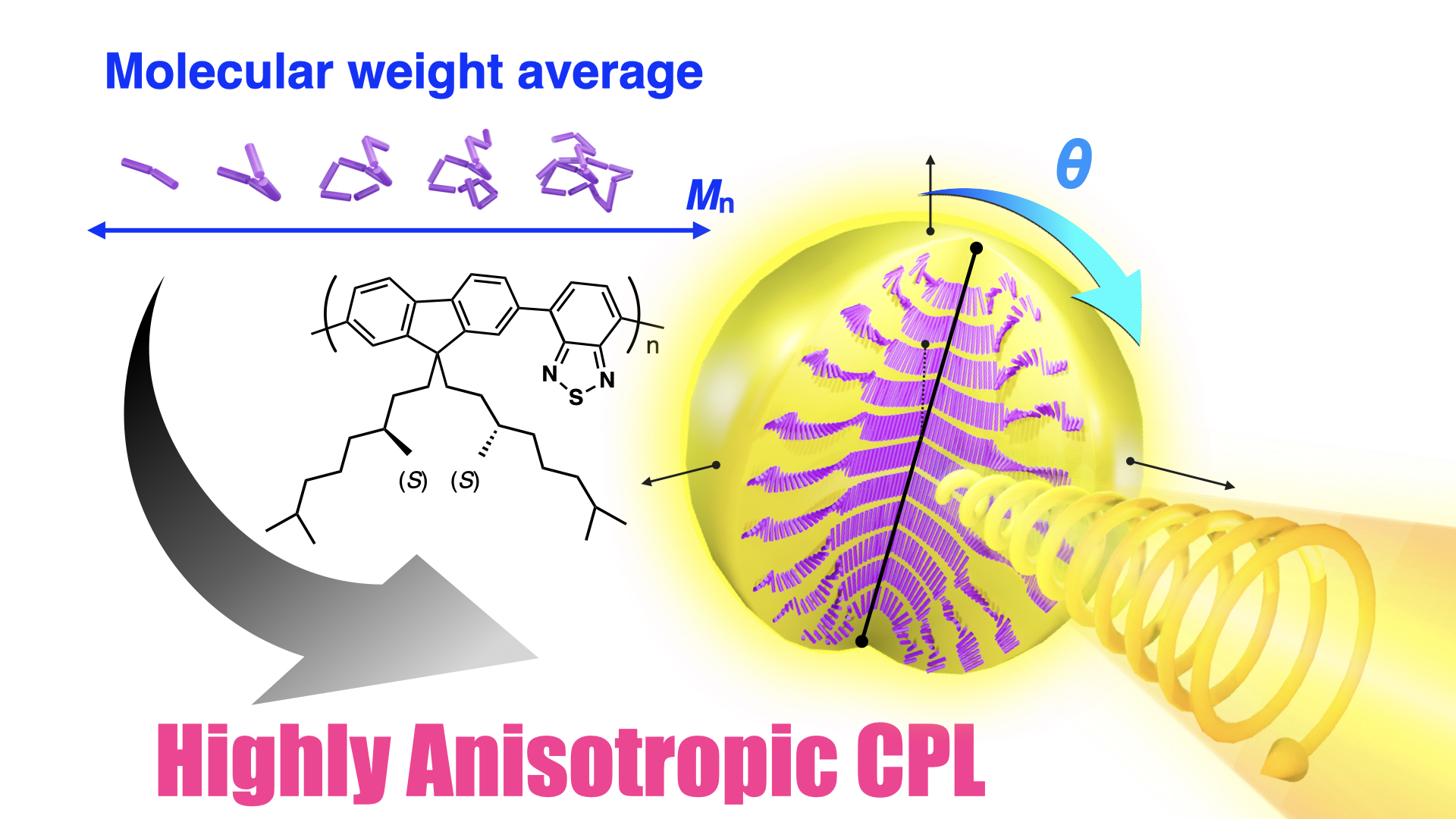 研究と業績｜山本・櫛田研究室