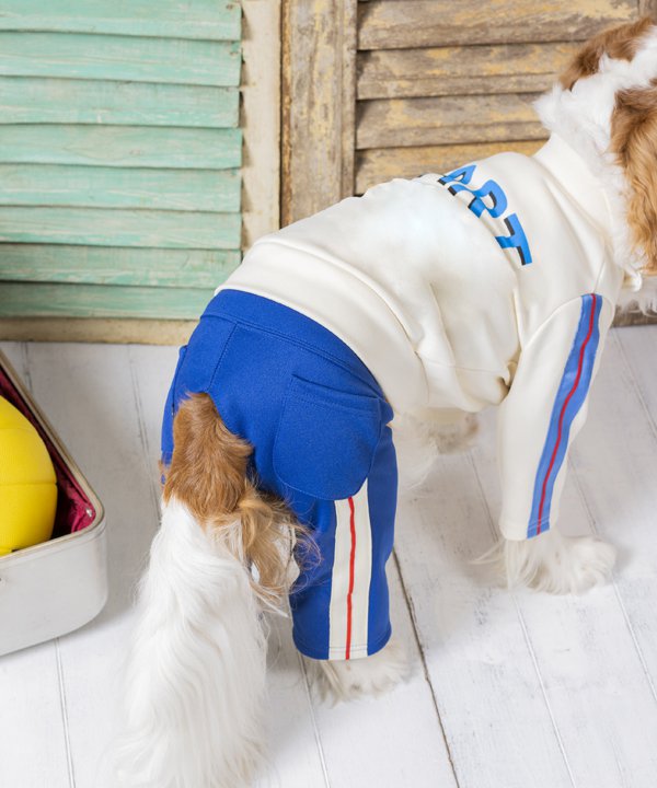 40％OFF】【as know as de wan】N START☆PT ドッグウェア