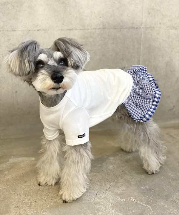 10％OFF】【as know as de wan】NシンプリーT ドッグウェア