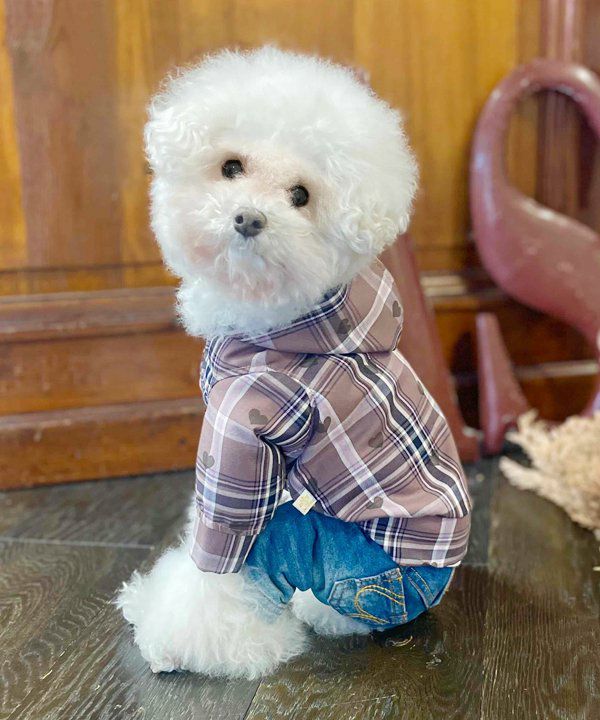 20％OFF】【as know as de wan】ハートチェックPK ドッグウェア