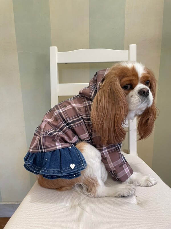 20％OFF】【as know as de wan】ハートチェックPK ドッグウェア