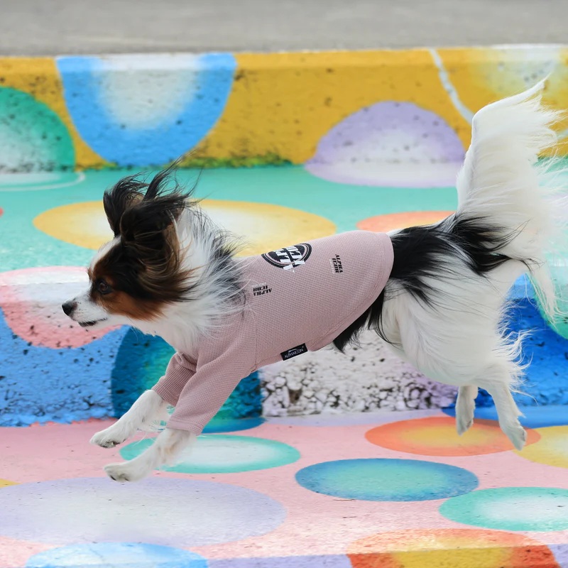 アルファアイコン】ドライニットティー(2025年モデル) - INU