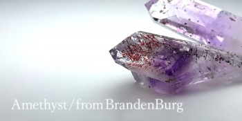 cat_brandenburgamethyst--