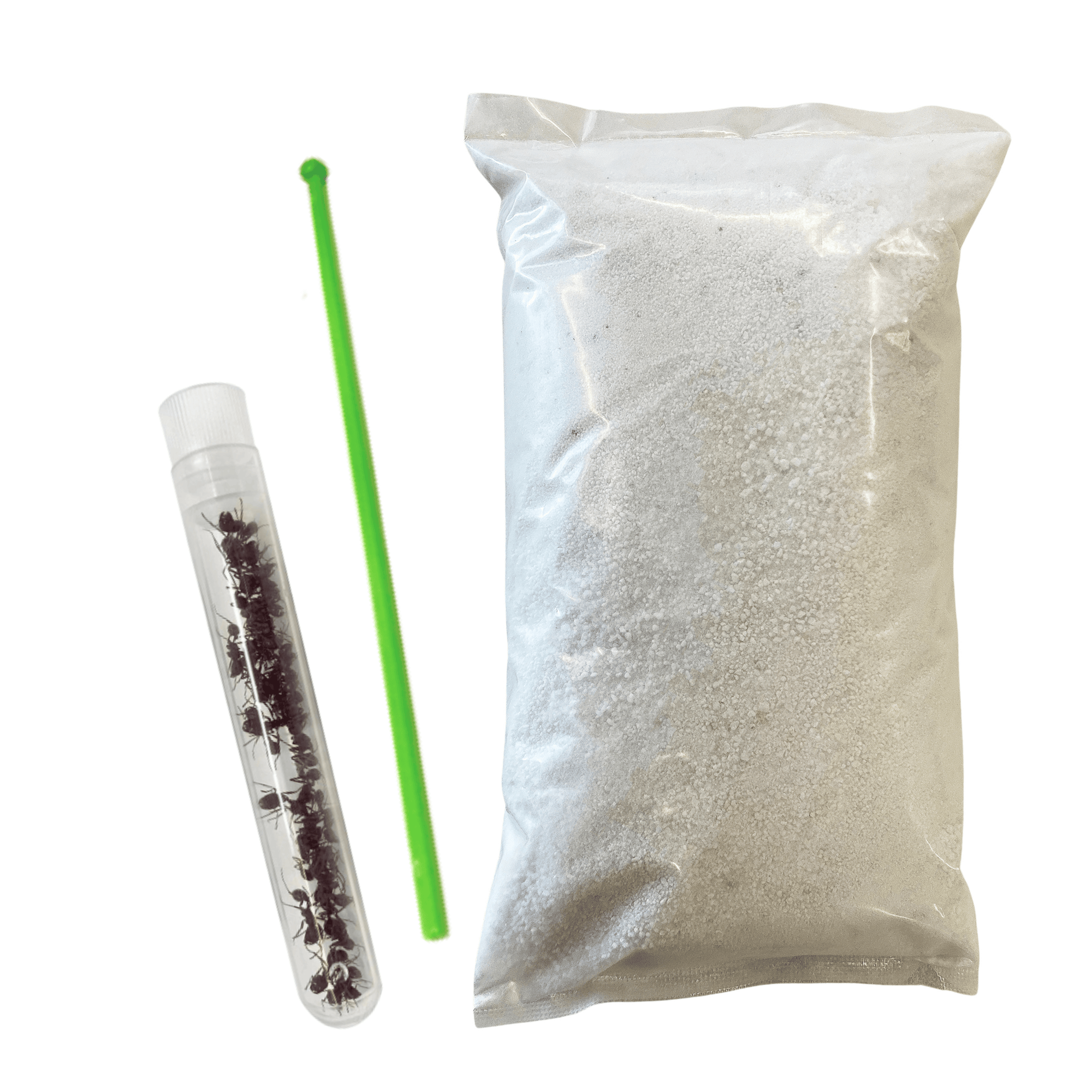 Ant Mountain™ Refill | 25 Harvester Ants, Sand, & Rod - Insect Lore