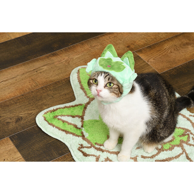 くさねこポケモン「ニャオハ」が主役！猫とも楽しめる新グッズ「にゃ