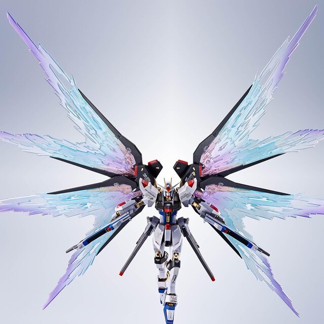 METAL ROBOT魂 ストライクフリーダムガンダム［Re:Coordinate］」専用