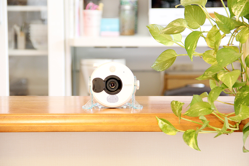 TS-WRLP/E 仕様 | ネットワークカメラ | アイ・オー・データ機器 I-O DATA