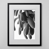 定番品】パブロ・ピカソ 「フクロウ」ブラックフレーム｜ポスター