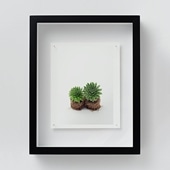 定番品】ル・ブアン・ベニ 「BEN558」ブラックフレーム｜ポスター