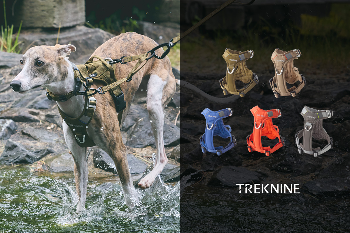 RUFFWEAR 犬用ハーネス XXS グレー RUFFWEAR 犬用ハーネス XXS グレー