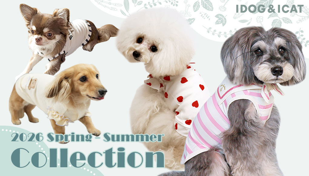 ハンドメイド犬服の個人ブランド | yuwawa | 小型犬・チワワが一番