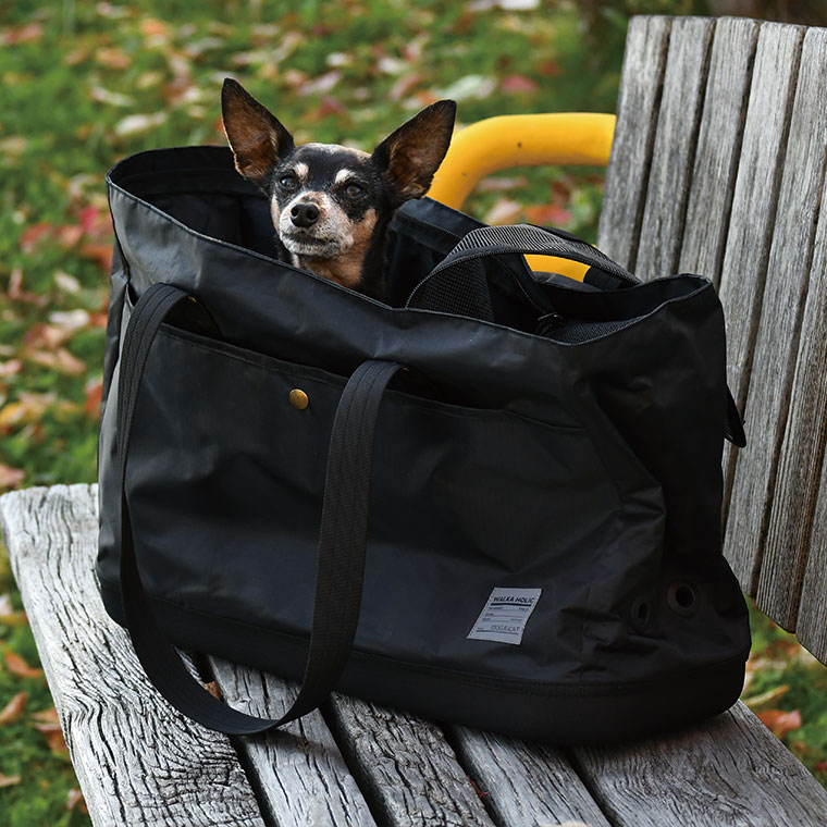 iDog＆iCat本店】IDOG&ICAT WALKA HOLIC セミハードボトム トートキ