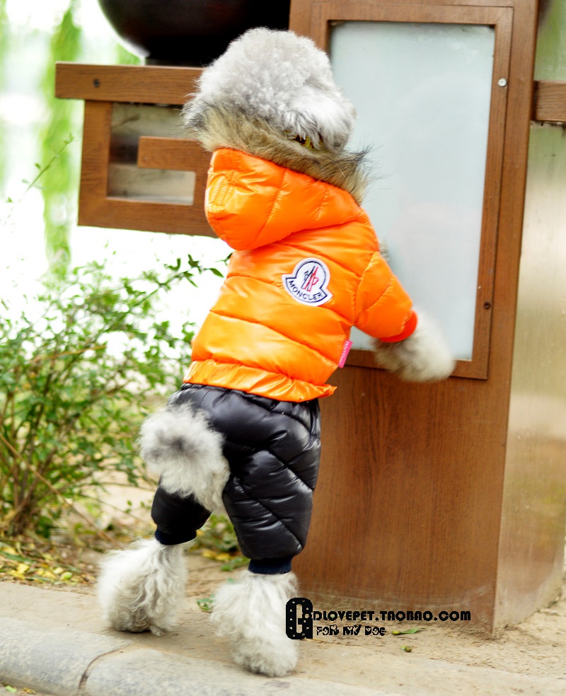 モンクレール サイズ00 ペットウェア ペットグッズ ドッグ用 犬用